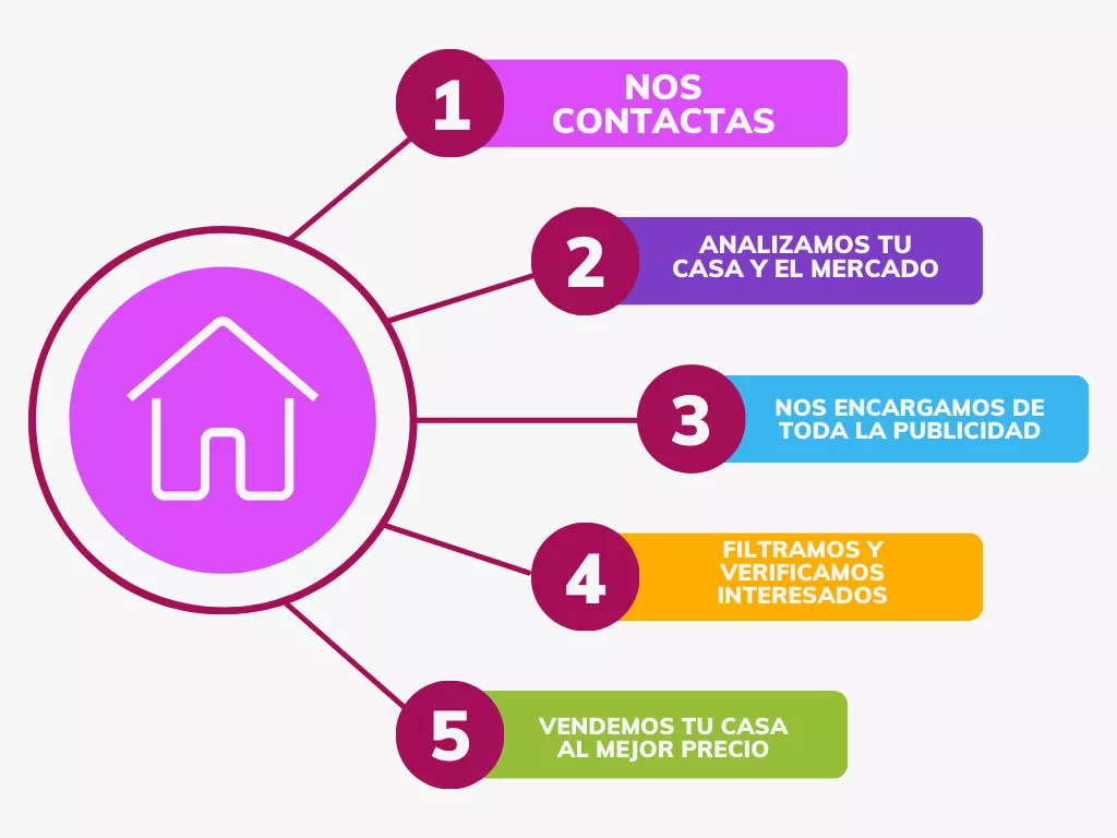 Colorful Minimalist Linear Steps Circular Diagram